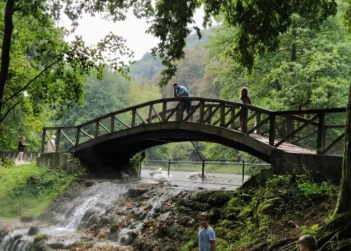 Apartman - Bee Happy